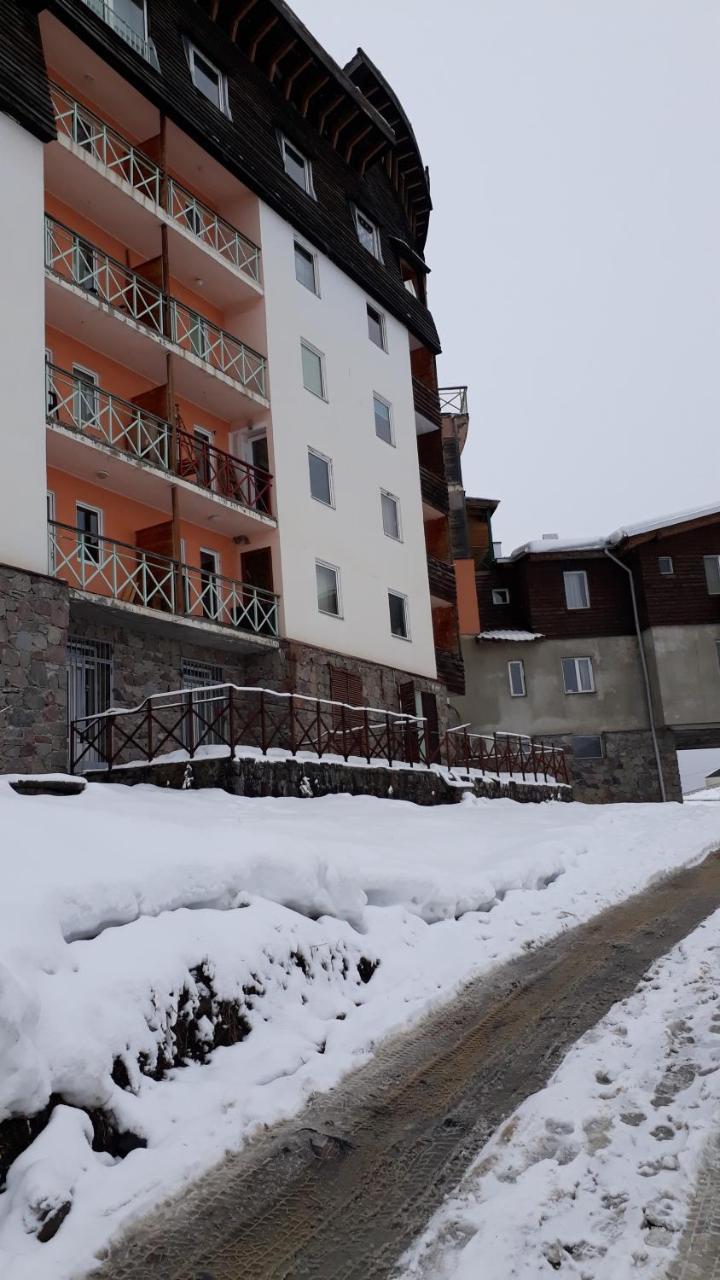 Apartment N6 Gudauri Eksteriør billede